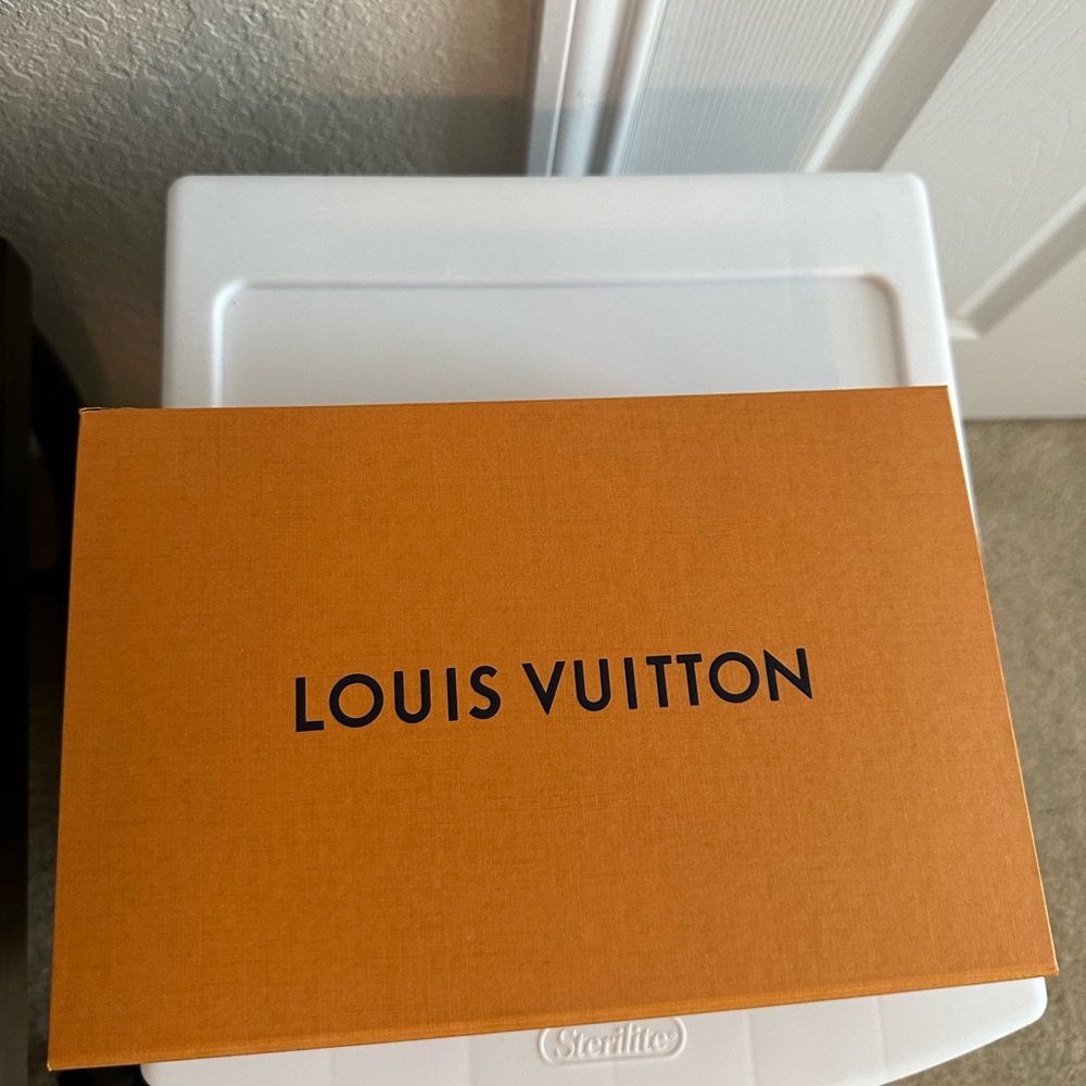 Louis Vuitton empty box